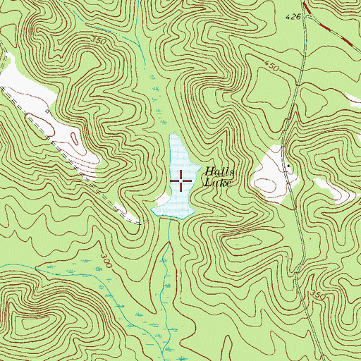 Topographic Map of Halls Lake, GA