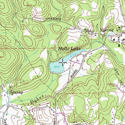 Topographic Map of Halls Lake, GA