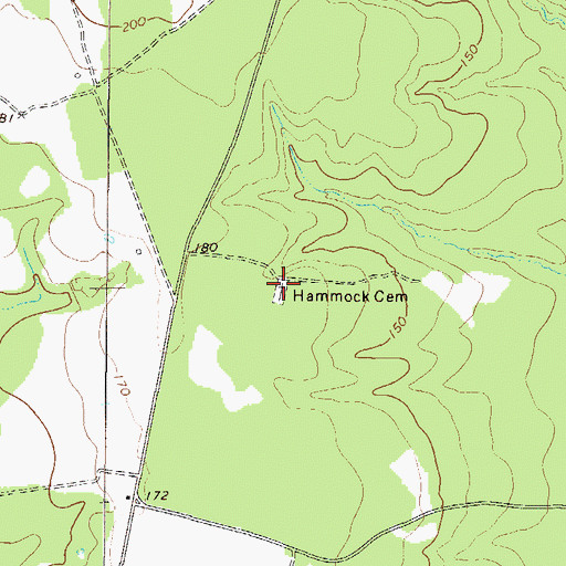 Topographic Map of Hammock Cemetery, GA