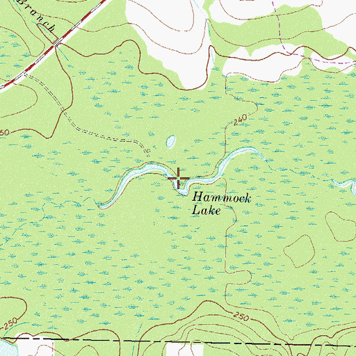 Topographic Map of Hammock Lake, GA