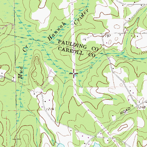 Topographic Map of Hannah Swamp, GA