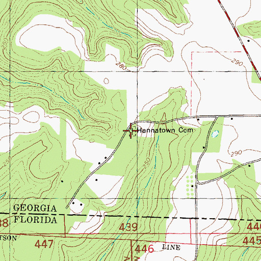 Topographic Map of Hannatown Cemetery, GA