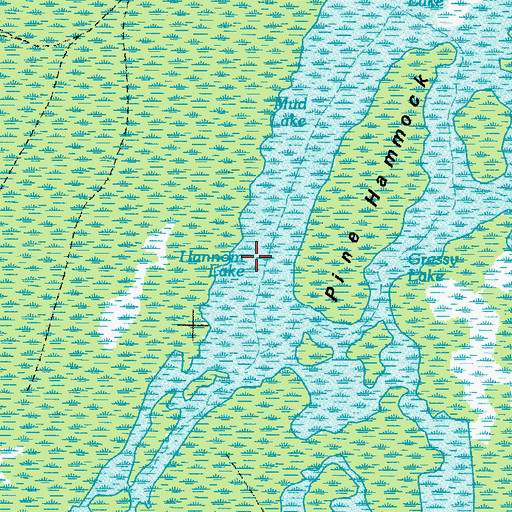 Topographic Map of Hannom Lake, GA
