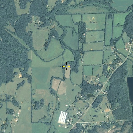 Aerial/Satellite Image of Hatfield Branch, GA