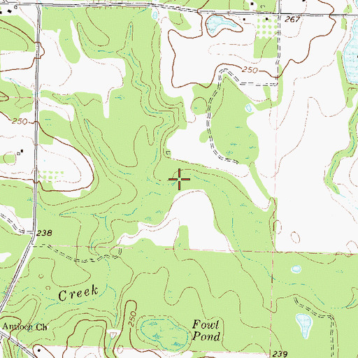 Topographic Map of Haw Pond Creek, GA