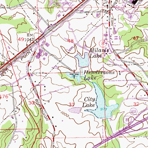 Topographic Map of Hendersons Lake, GA