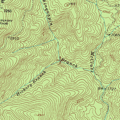 Topographic Map of Hickory Branch, GA