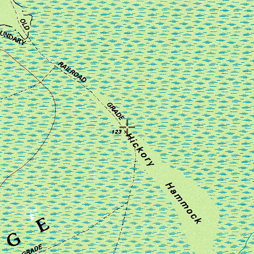 Topographic Map of Hickory Hammock, GA