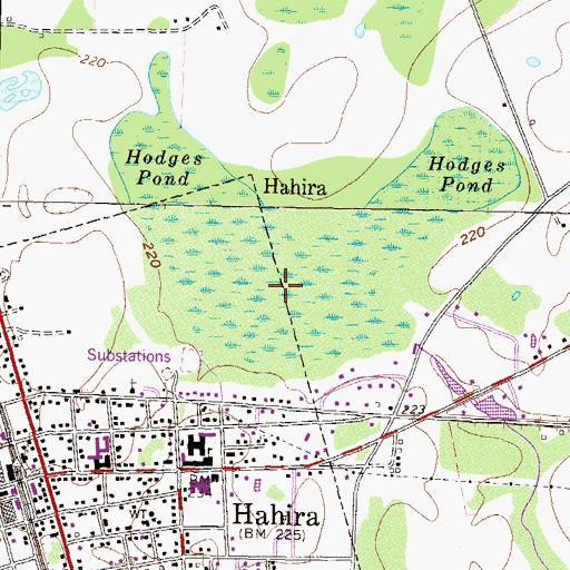 Topographic Map of Hodges Pond, GA