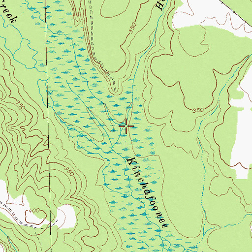 Topographic Map of Hog Branch, GA