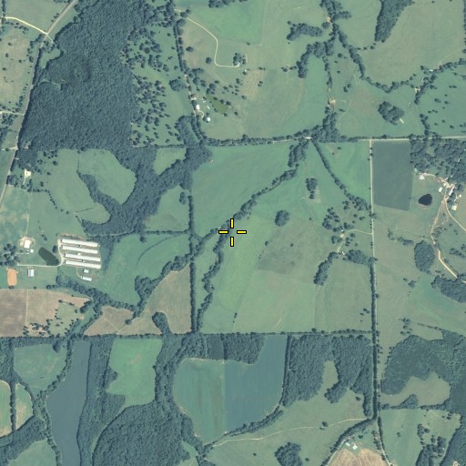 Aerial/Satellite Image of Hogjowl Creek, GA