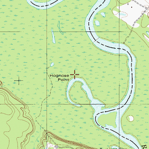 Topographic Map of Hognose Point, GA