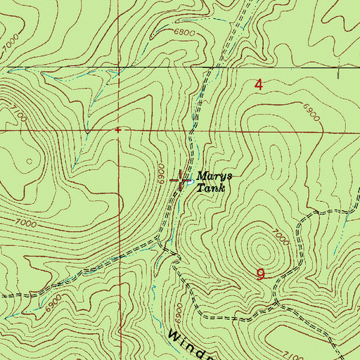 Topographic Map of Marys Tank, AZ