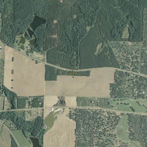 Aerial/Satellite Image of Holmes Cemetery, GA