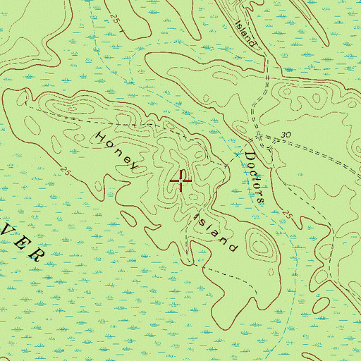 Topographic Map of Honey Island, GA