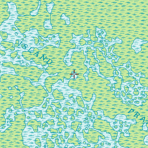 Topographic Map of Honey Island Prairie, GA