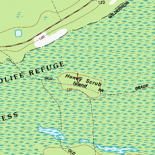 Topographic Map of Honey Scrub Island, GA
