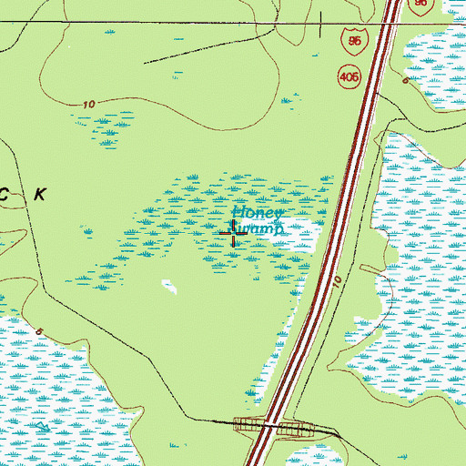Topographic Map of Honey Swamp, GA