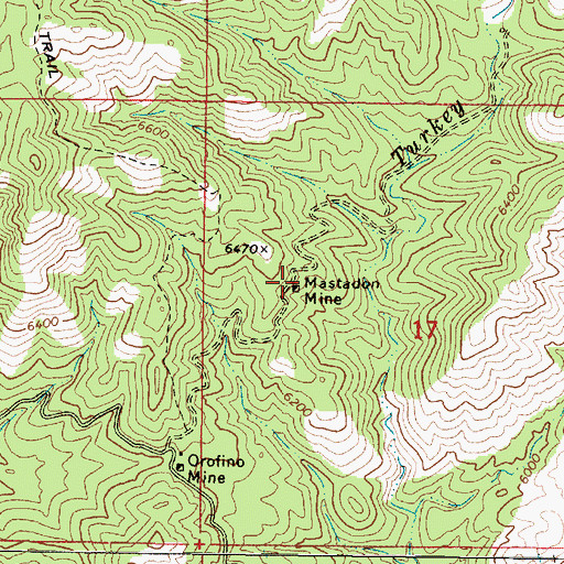 Topographic Map of Mastadon Mine, AZ