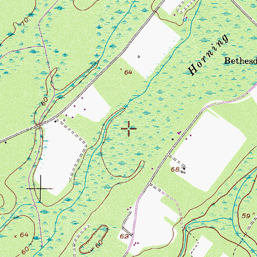 Topographic Map of Horning Swamp, GA