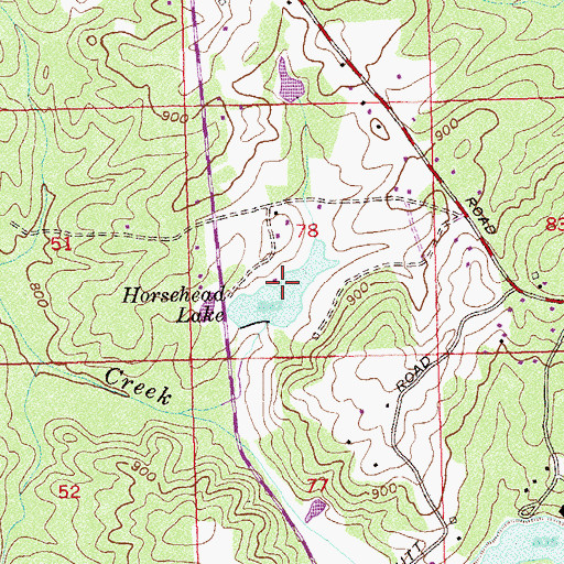 Topographic Map of Horsehead Lake, GA
