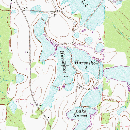 Topographic Map of Horseshoe 4, GA
