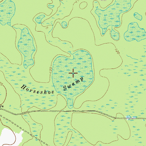 Topographic Map of Horseshoe Swamp, GA