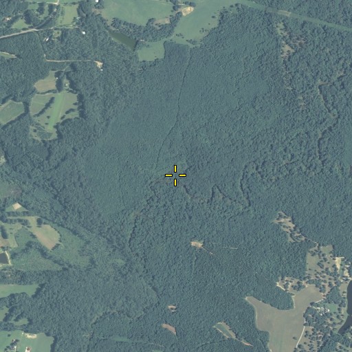 Aerial/Satellite Image of Horton Creek, GA