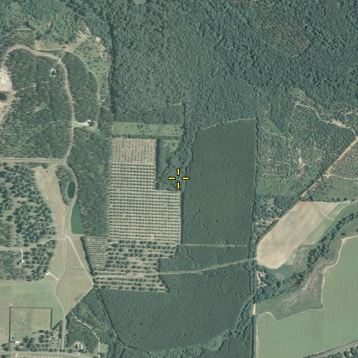 Aerial/Satellite Image of Hoses Cemetery, GA