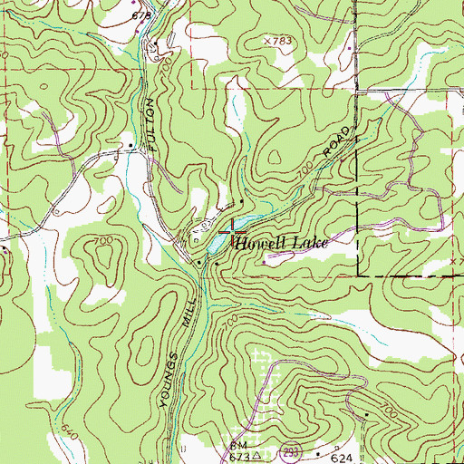 Topographic Map of Howell Lake, GA