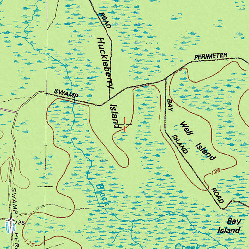 Topographic Map of Huckleberry Island, GA