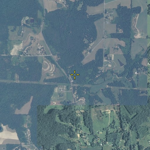 Aerial/Satellite Image of Hurricane Branch, GA