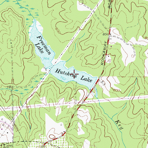 Topographic Map of Hutchins Lake, GA