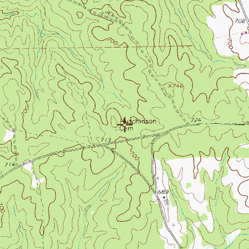 Topographic Map of Hutchinson Cemetery, GA