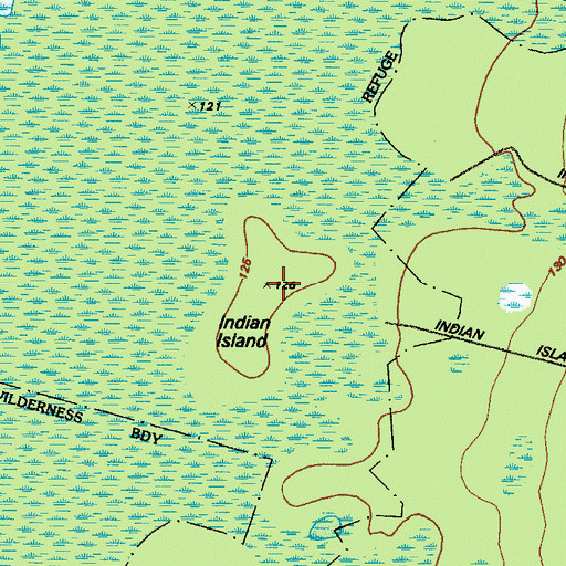 Topographic Map of Indian Island, GA