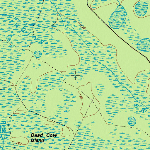 Topographic Map of Indian Swamp, GA