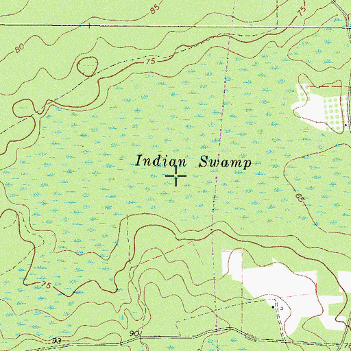 Topographic Map of Indian Swamp, GA