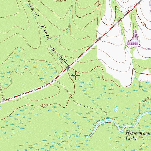 Topographic Map of Island Field Branch, GA
