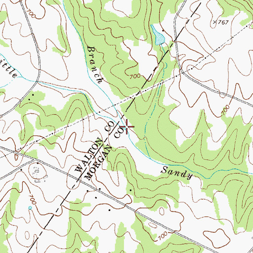 Topographic Map of Ivey Branch, GA