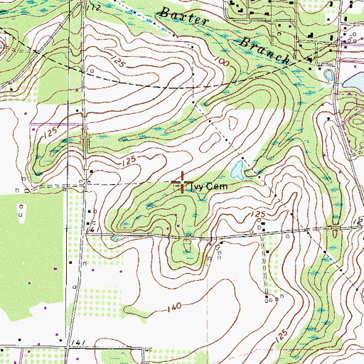 Topographic Map of Ivy Cemetery, GA