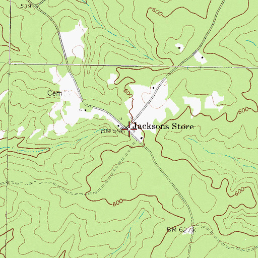 Topographic Map of Jacksons Store, GA