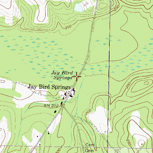 Topographic Map of Jay Bird Springs, GA