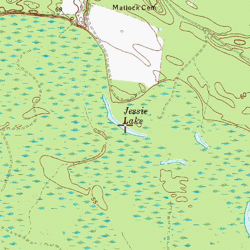 Topographic Map of Jessie Lake, GA