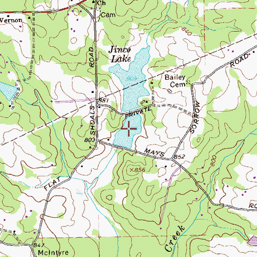 Topographic Map of Jinco Lake, GA