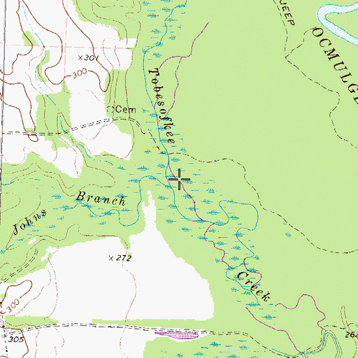 Topographic Map of Johns Branch, GA