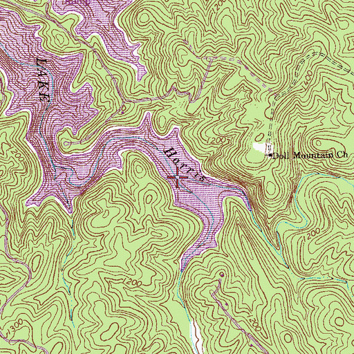 Topographic Map of Johnson Creek, GA