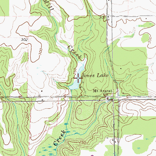 Topographic Map of Jones Lake, GA