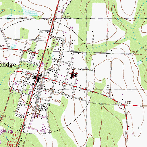 Topographic Map of Junior Academy, GA