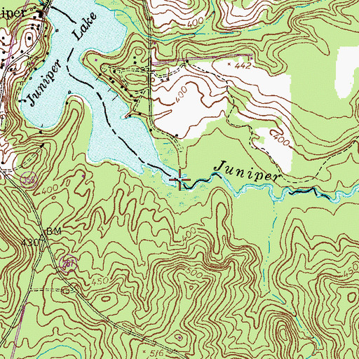 Topographic Map of Juniper Creek, GA