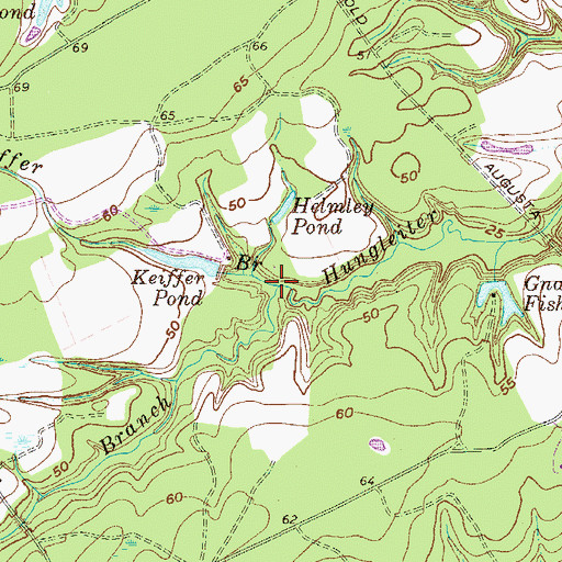 Topographic Map of Keiffer Branch, GA
